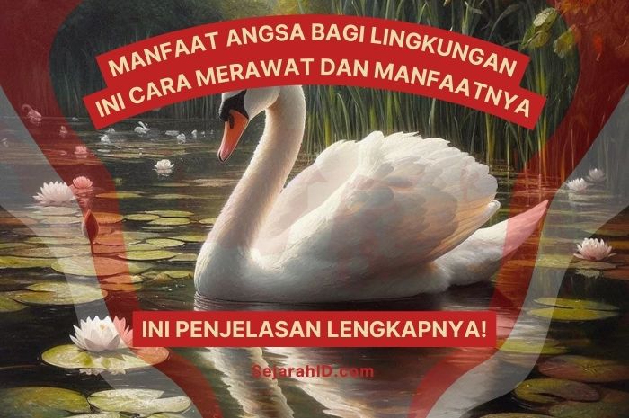 Apa Manfaat Angsa Bagi Lingkungan? Ini Penjelasan Lengkapnya!