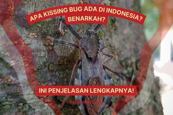 Apakah Kissing Bug Ada di Indonesia? Ini Penjelasan Lengkapnya!